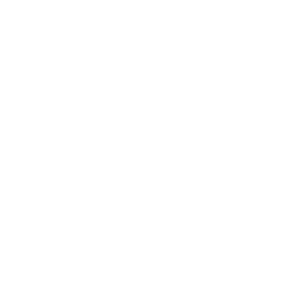 Saldore